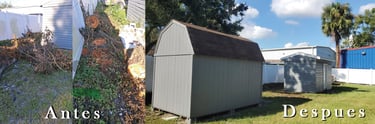 Before After Junk Removal Tampa