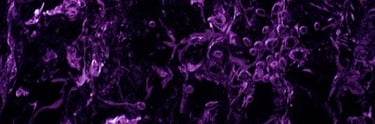 purple black abstract