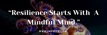 imveetv.com Resilience, Growth Mindset