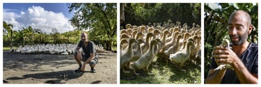 Un éleveur de canards joue avec un caneton