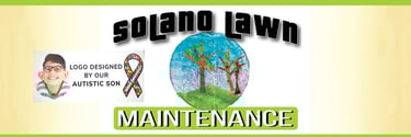 Solano Lawn maintenance Landscaping landscaper morris county sussex NJ