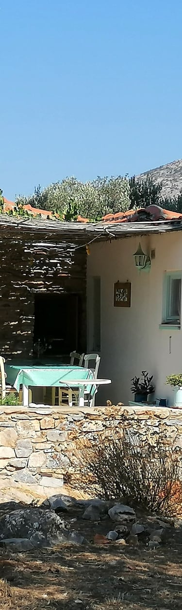 Achterzijde met terras