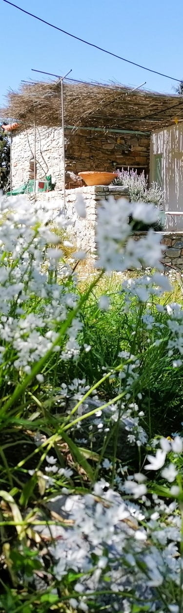 Vakantiehuisje Samos in het voorjaar