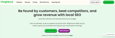 BrightLocal-image