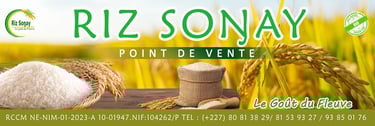 Agriculteur nigérien travaillant dans un champ de riz pour la Coopérative Riz Songhaï, appel à l’aid