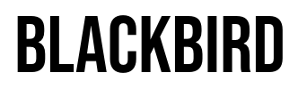 Blackbird Gen AI Ltd Logo