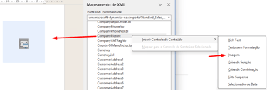 Microsoft Word XML mapping pane showing CompanyPicture field selection for content control.