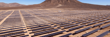 Tipos de Sistemas de Seguridad para Huertos Solares