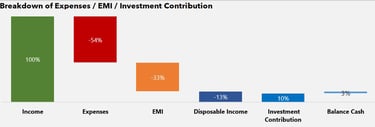 Analyse Income, Expense, EMI and Disposable income and investment made - Rytvae Financial Consultant