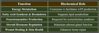 Pantothenic acid_functions