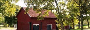 There’s something quietly beautiful about matte, honest color—especially when it comes from natural materials. That’s the spi