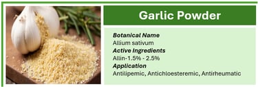Garlic