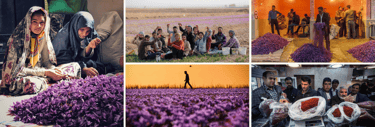 a collage of pictures of people in a field