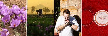 a man taking a picture of a woman in a field