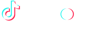 TikTok Marketing Partner