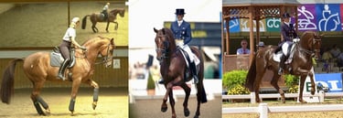 A collage of Olympian Lisa Wilcox riding Relevant 