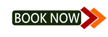 Book an Appointment Online