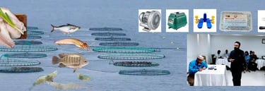 Fish vigyan biofloc training materials and consultancy