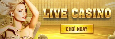 banner-bongvip