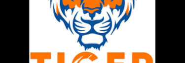 Tiger365