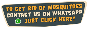 WhatsApp contact banner for tiger mosquito capture