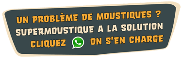 Campagne de sensibilisation contre le moustique tigre