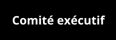 Comité exécutif du CDP