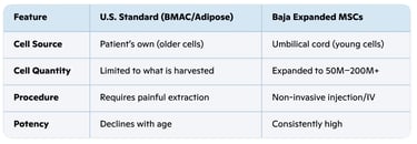 Comparison chart of U.S. standard BMAC adipose versus Baja WJ-MSCs stem cell therapy features.