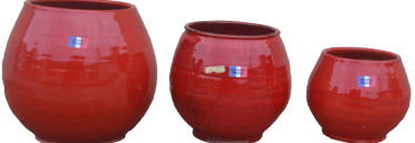 Pot de fleurs rouges cerise