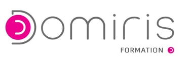 domiris formation IDE