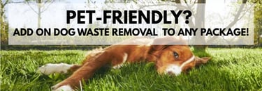 a dog laying on the grass with a dog in the background with the words pet