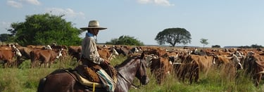 Gauchos en Patagonie