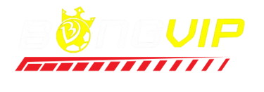 LOGO BONGVIP