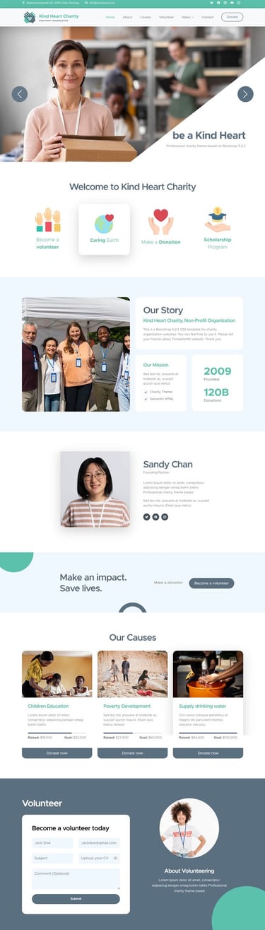 simple Website design by onlion