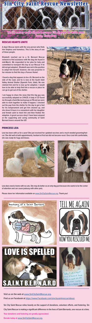 Go 2 JoJo Newsletters Page Newsletter Design Image www.Go2JoJo.com