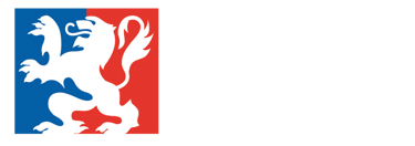 Logo Ville de Lyon