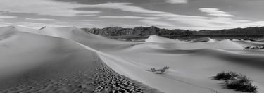 Desert