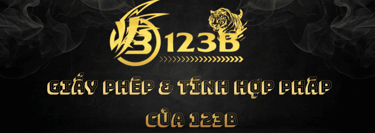 giayphep123b