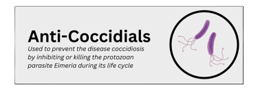 anti-coccidials pharmaceutical product type