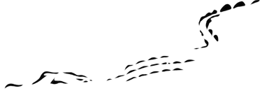 Chael crocodile logo