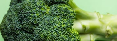 Broccoli head