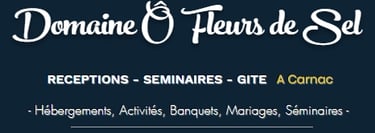 Logo de Domaine Ô Fleurs de Sel Carnac