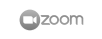 logo zoom