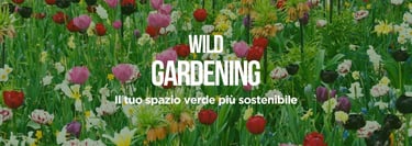 Fiori colorati in un giardino naturale con testo “Wild Gardening – Il tuo spazio verde più sostenibi