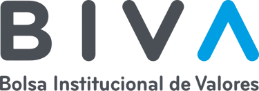 Bolsa Institucional de Valores