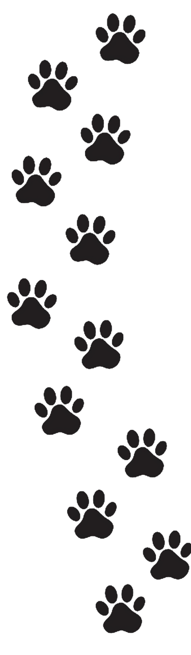 empreinte de chien