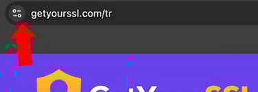 üzerinde getyourssl.com url'si ve kilit simgesi bulunan bir tarayıcı arama barı