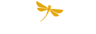 Focus Stress - Transformation et libération du stress femmes actives à Boulogne Paris