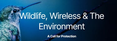 Wildlife, wireless, and the environment - electromagnetic health