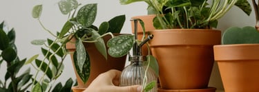 a bottle of water with pothos